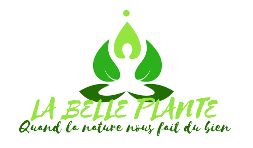 labelleplante.org