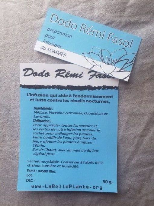 Dodo Rémi Fasol